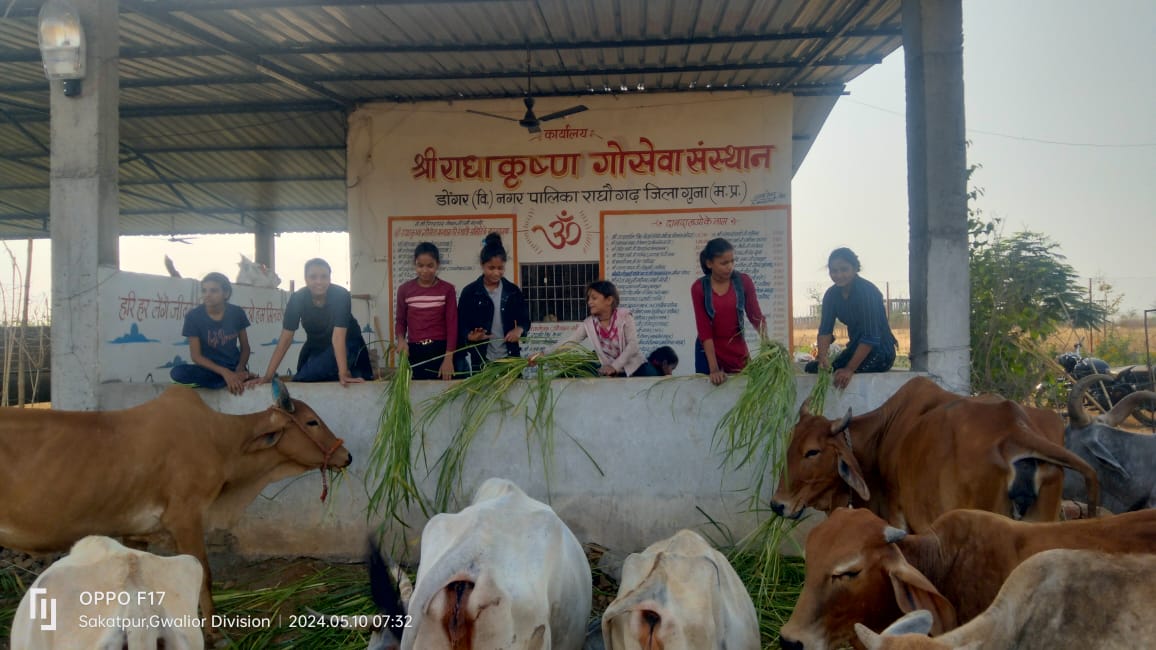 गौशाला 22